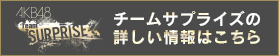 チームサプライズの詳しい情報はこちら