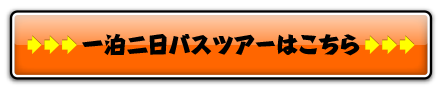 前回のバスツアーはこちら