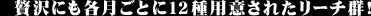 ґɂeƂ12pӂꂽ[`QI