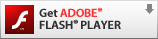 Adobe Flash Player ̃_E[h