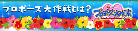 プロポーズ大作戦とは？
