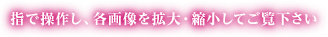 指で操作し、画像を拡大・縮小してご覧下さい。