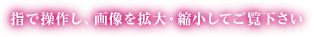 指で操作し、画像を拡大・縮小してご覧下さい。