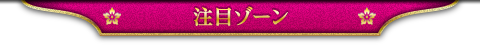 注目ゾーン