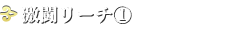 激闘リーチ1
