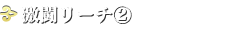 激闘リーチ2