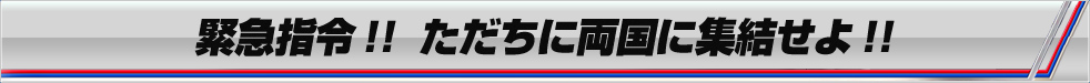 緊急指令!! ただちに両国に集結せよ!!