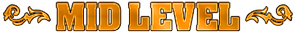MID LEVEL