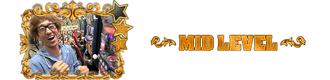 MID LEVEL