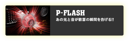 P-FLASH あの光と音が歓喜の瞬間を告げる!!