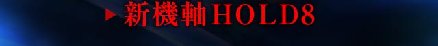 新機軸HOLD8