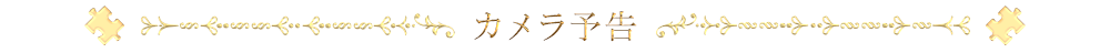 カメラ予告