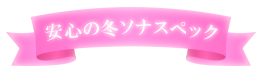 安心の冬ソナスペック