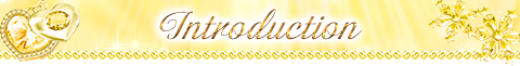 Introduction