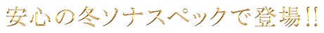 安心の冬ソナスペックで登場！！
