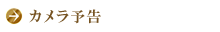 カメラ予告