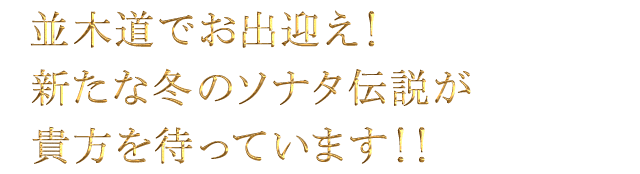 並木道でお出迎え！新たな冬のソナタ伝説が貴方を待っています！！