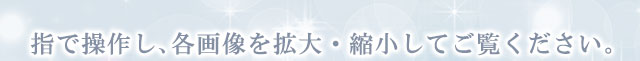 指で操作し、各画像を拡大・縮小してご覧ください。 