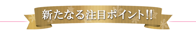 新たなる注目ポイント！！