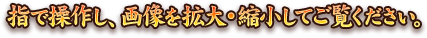 指で操作し、画像を拡大・縮小してご覧ください。
