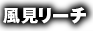 風見リーチ