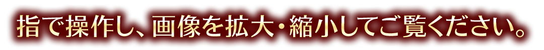 指で操作し、各画面を拡大・縮小してご覧ください。