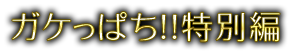 ガケっぱち!!特別編