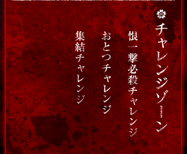 チャレンジゾーン