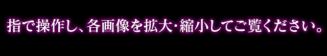指で操作し、各画像を拡大・縮小してご覧ください。