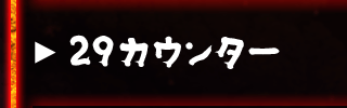 ２９カウンター