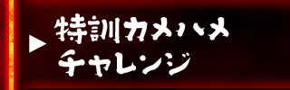 特訓カメハメチャレンジ