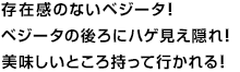 存在感のないベジータ！ベジータの後ろにハゲ見え隠れ！美味しいところ持って行かれる！