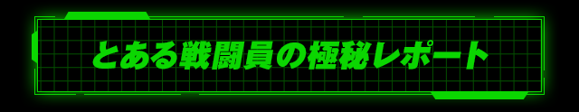 とある戦闘員の極秘レポート