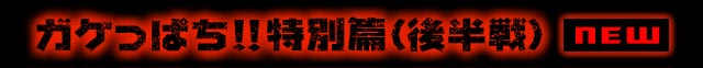 ガケっぱち!!特別篇（後半戦）