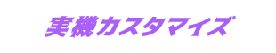 実機カスタマイズ