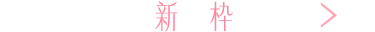 新枠